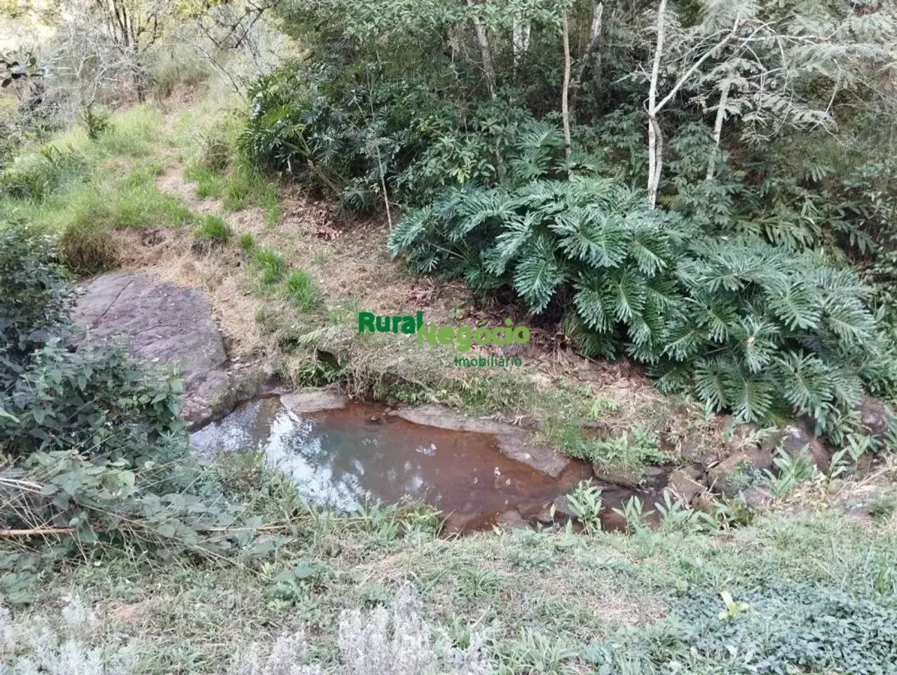 CHÁCARA FORMADA COM ACESSO FÁCIL EM CUNHA-SP - Foto 4