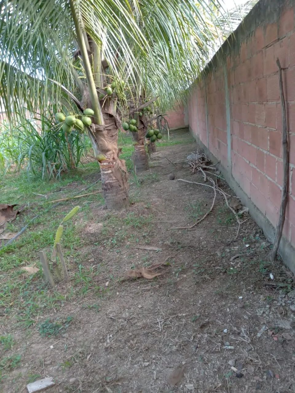 Vendo terrenos em Campo Lindo Seropédica a 100 metros do asfalto - Foto 5