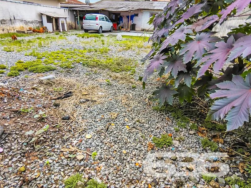 Terreno | Joinville | Fátima - Foto 3