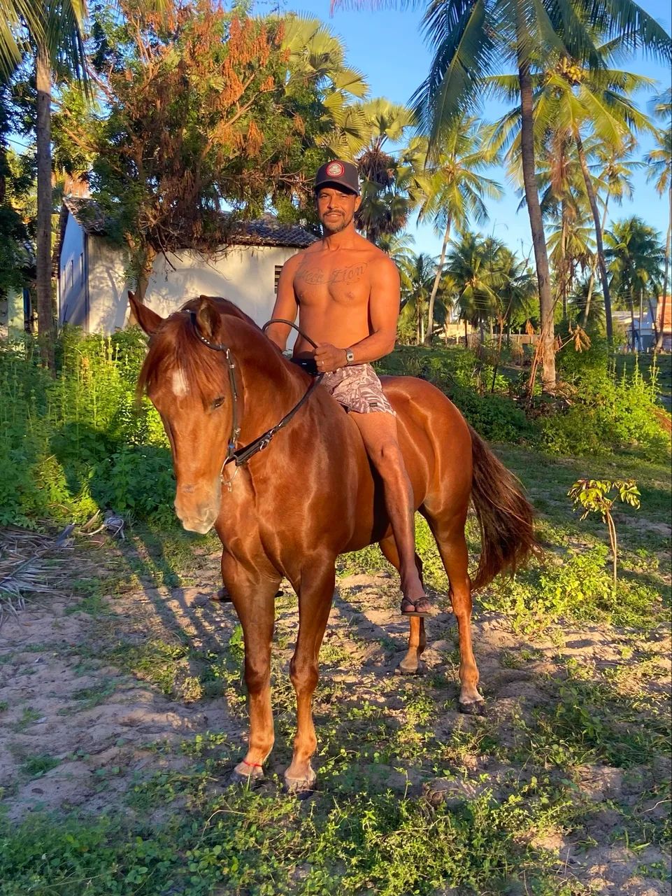 Cavalo QM - Foto 3
