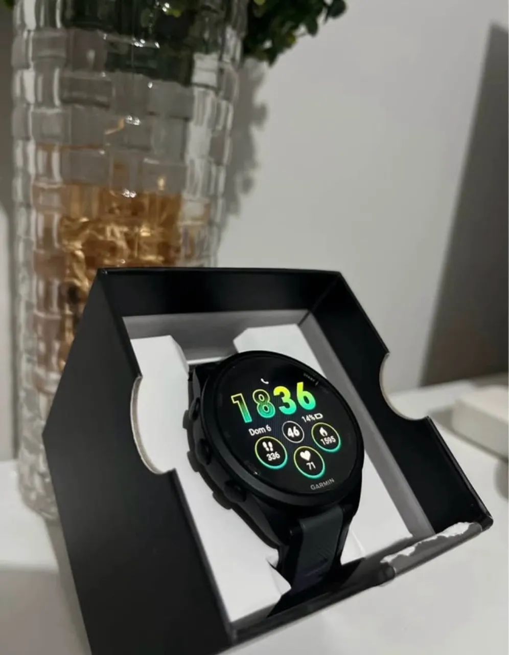 Garmin 165