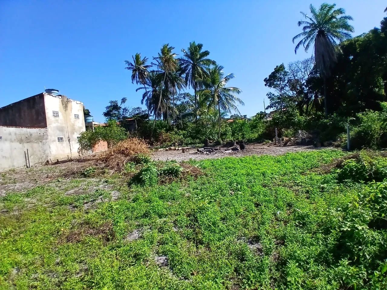 Terreno  - Foto 2