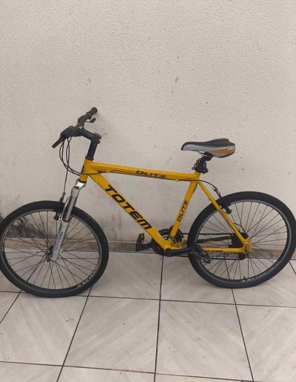 Bicicleta