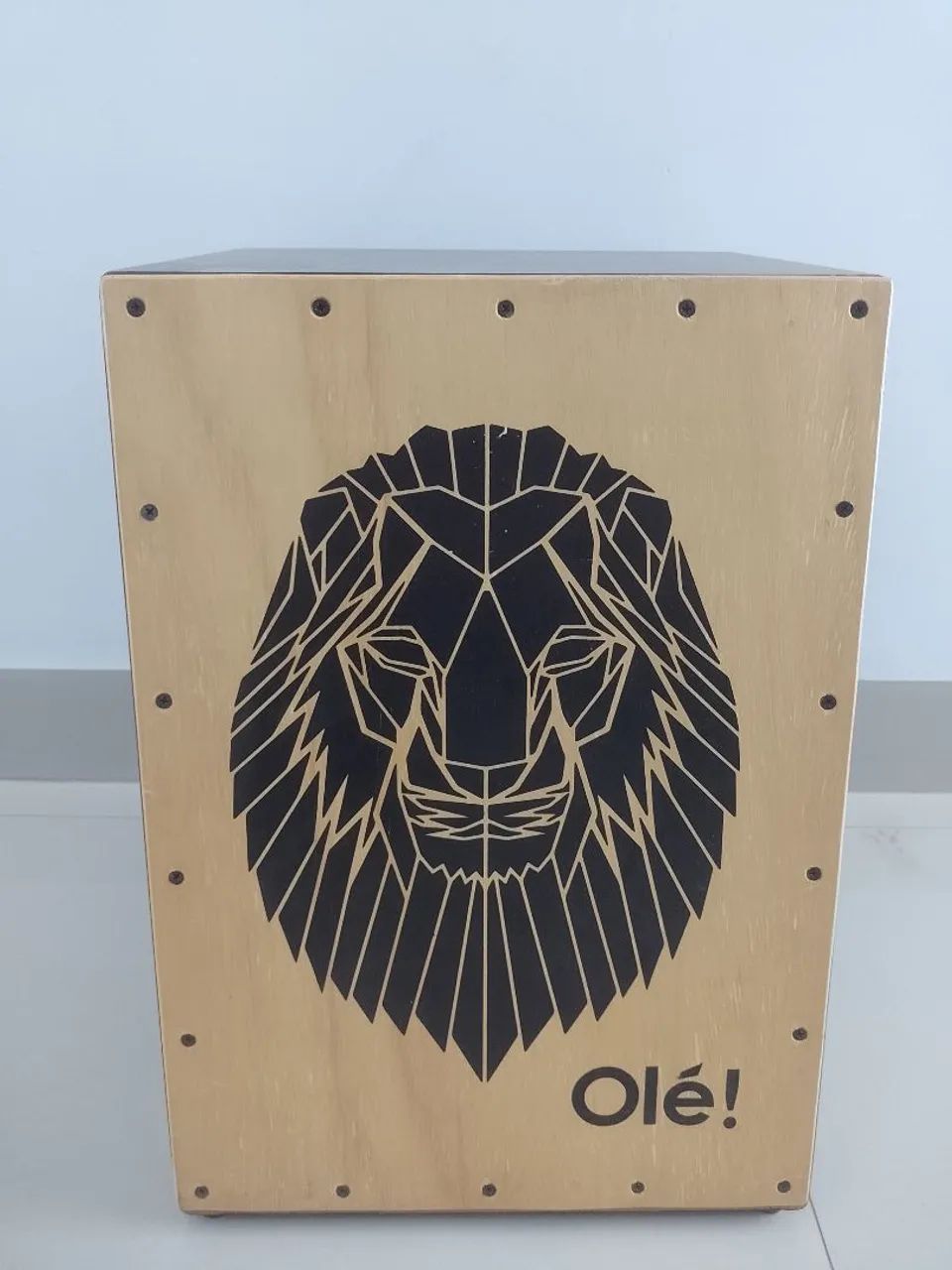 Cajon elétrico