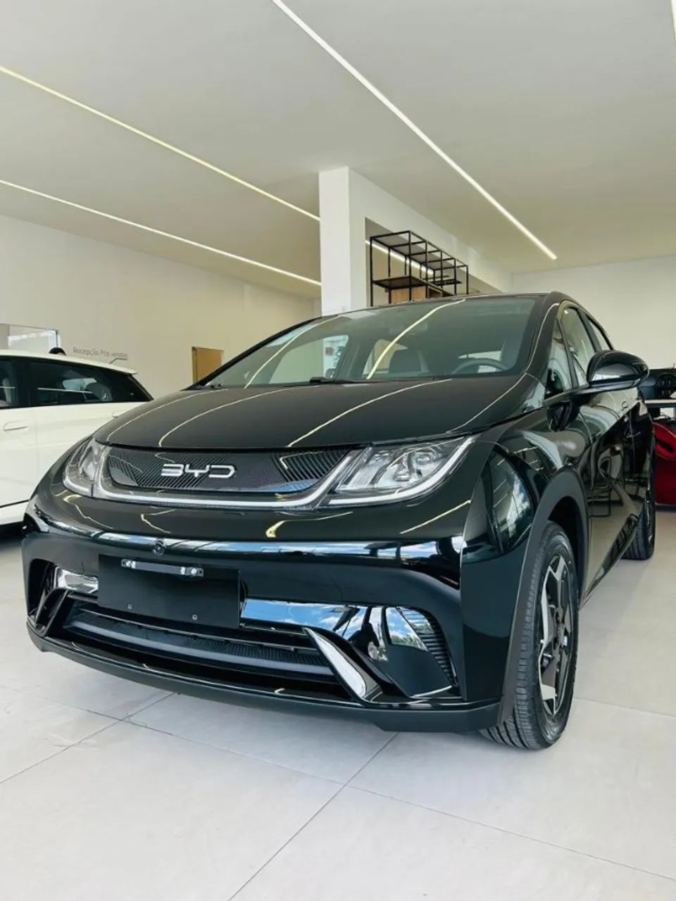 BYD Dolphin GS (Elétrico) 2027