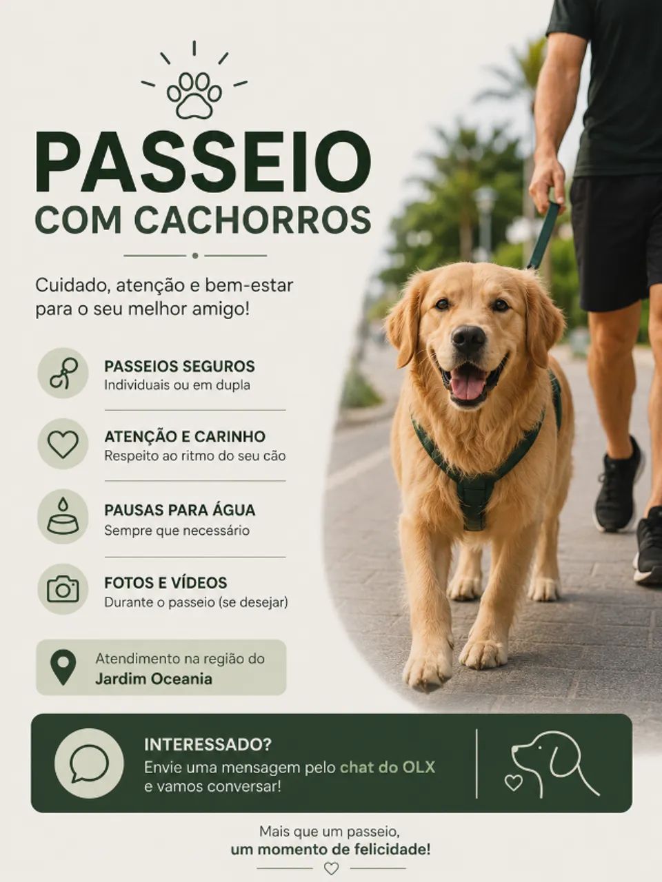 Passeio com cachorros