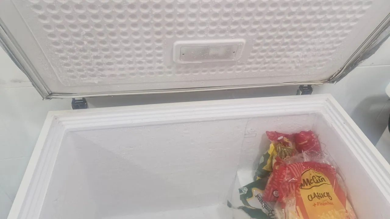 Frezzer horizontal 300l - Foto 2