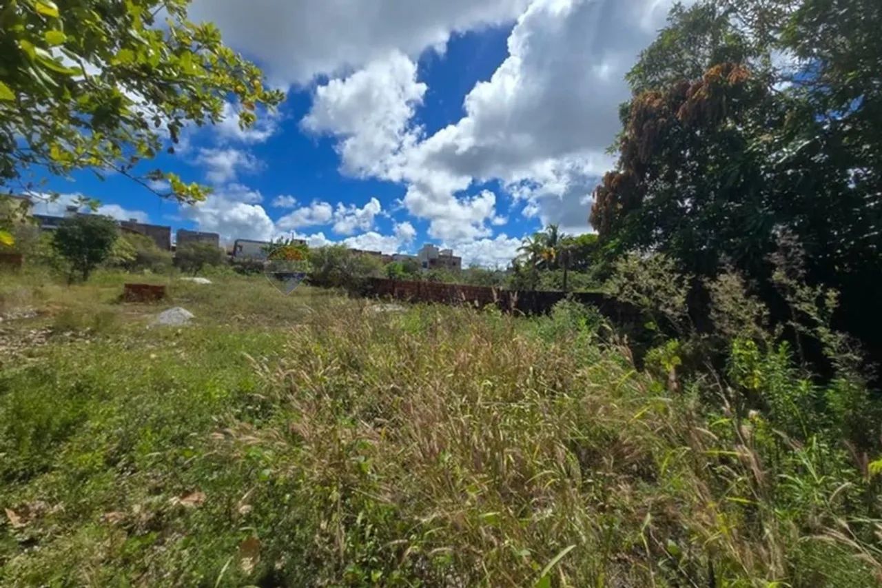 Terreno na parte alta de Carapibus, Conde-PB - Foto 4
