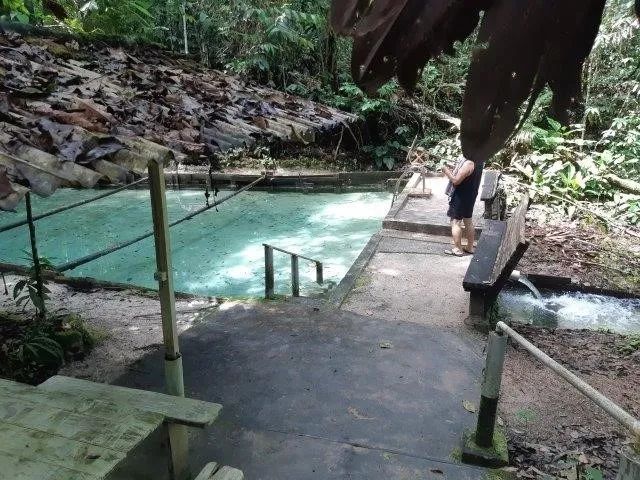 Sitio localizado no Município de Benevides - Foto 4