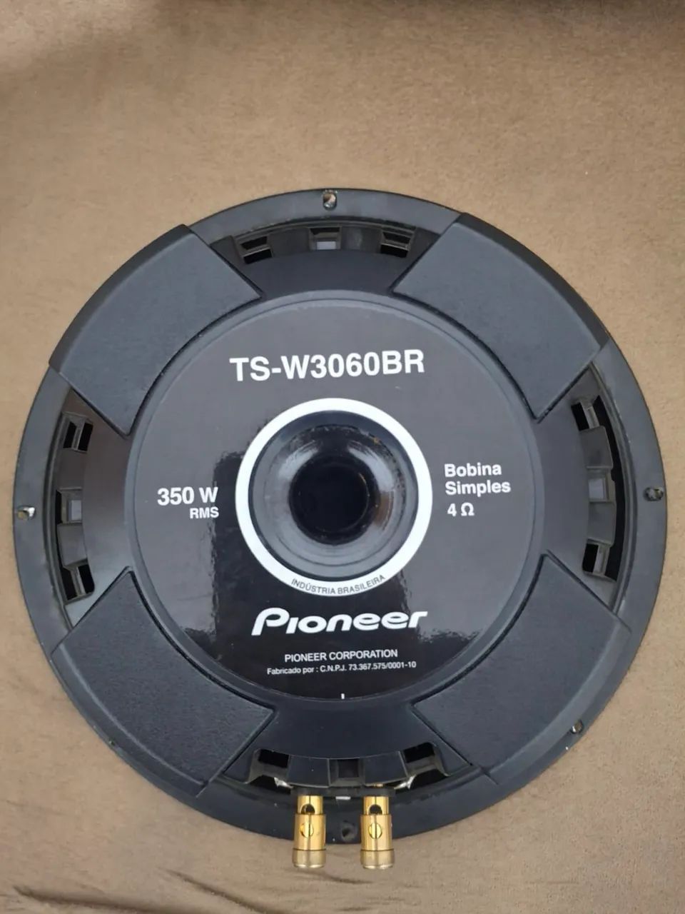 Falante Pionner TS-W3060BR
