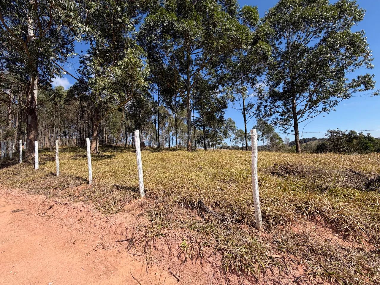 Terreno de 5.000 m2 em Piedade dos Gerais MG - Foto 5