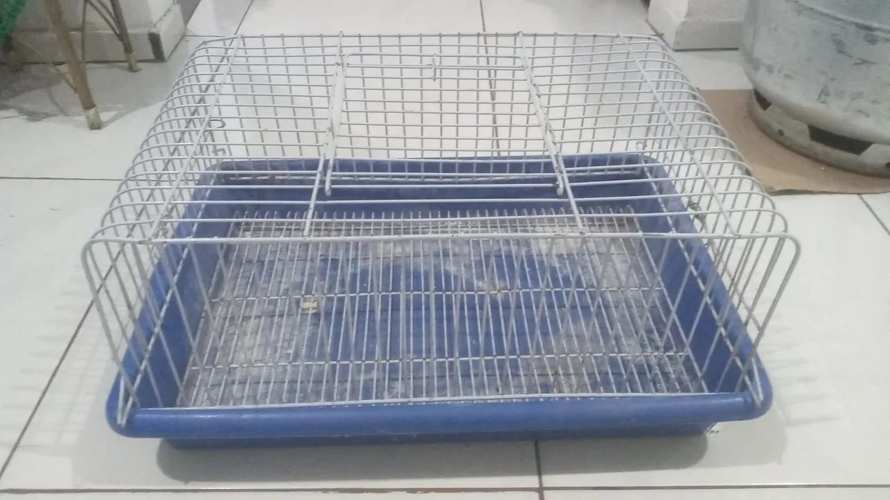 Gaiola de Hamster com brinde