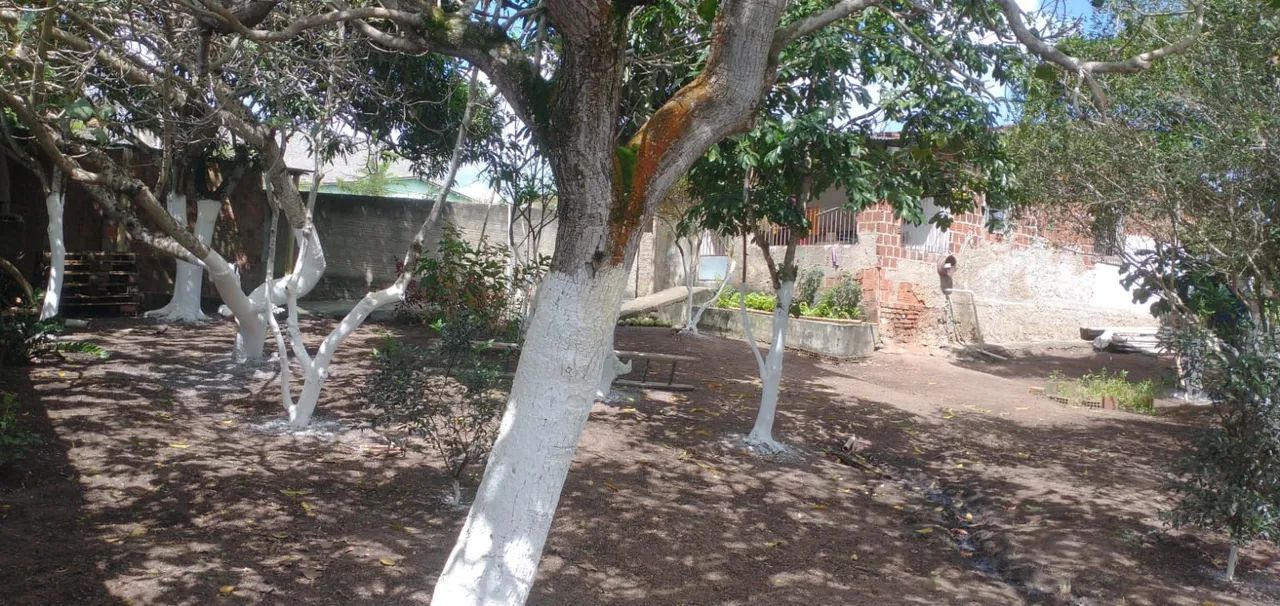 Vende se casa Lagoa do carro  - Foto 5