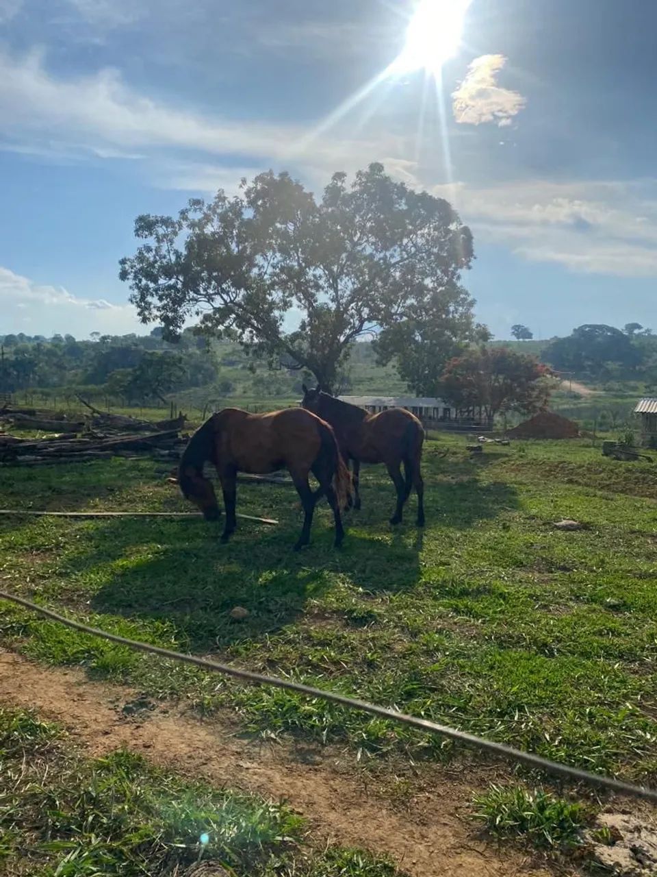 Ágio de chacara No rochedo  - Foto 2