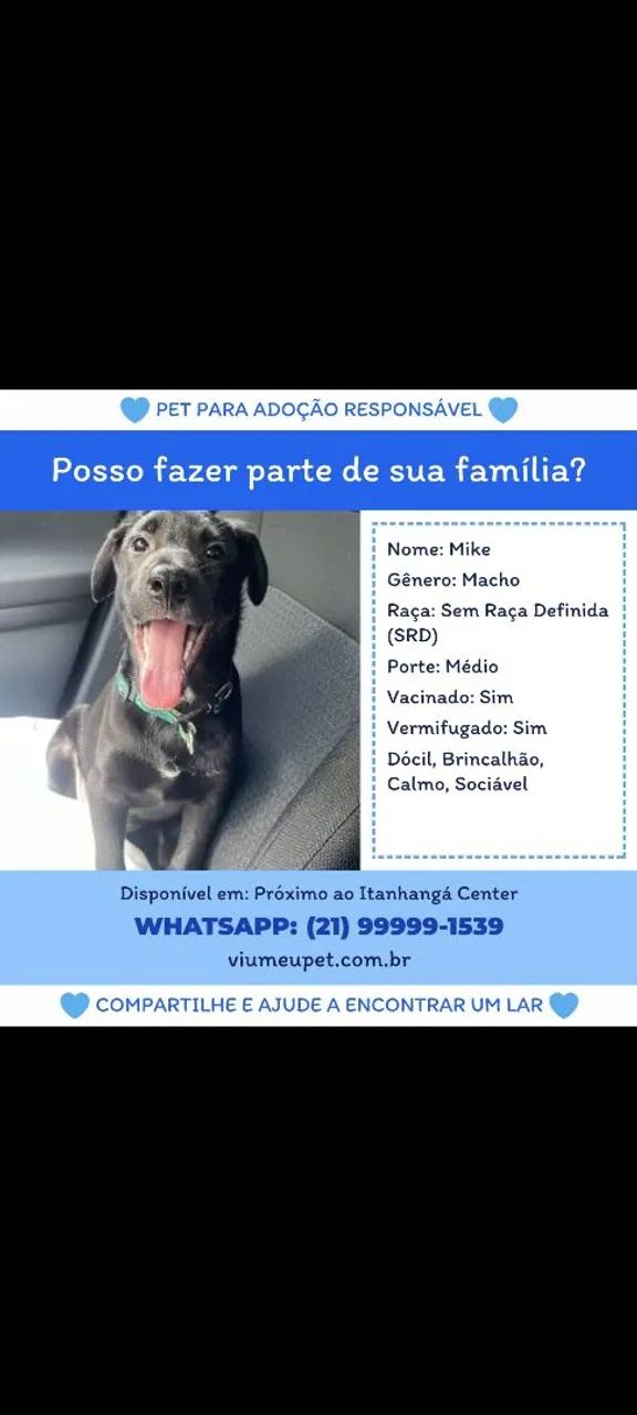 Para adoção consciente  - Foto 2