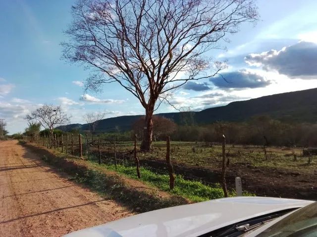 Excelentes Terrenos Bahia 
