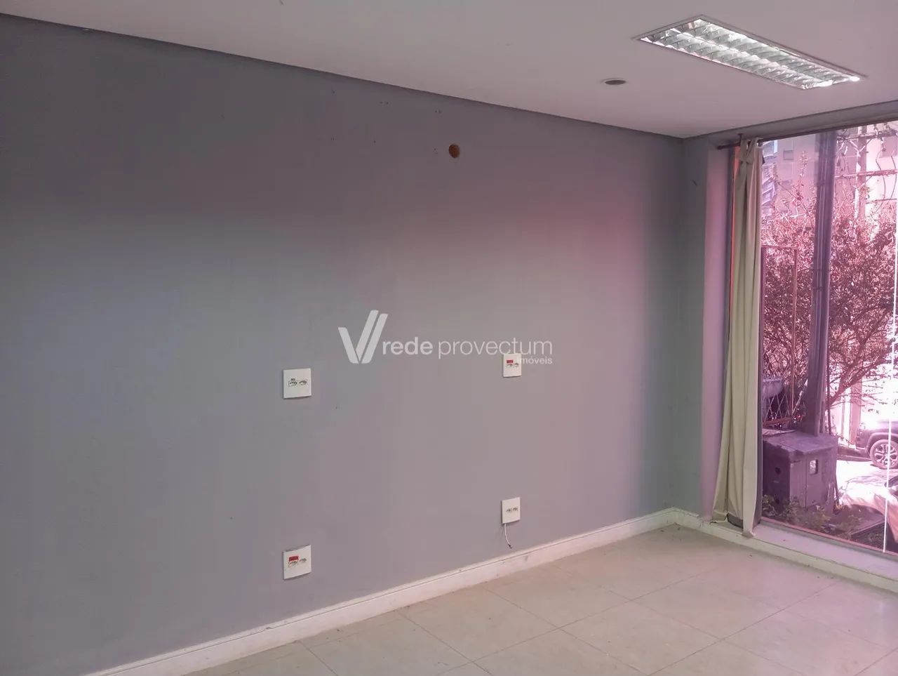 casa - Cambuí - Campinas - Foto 4
