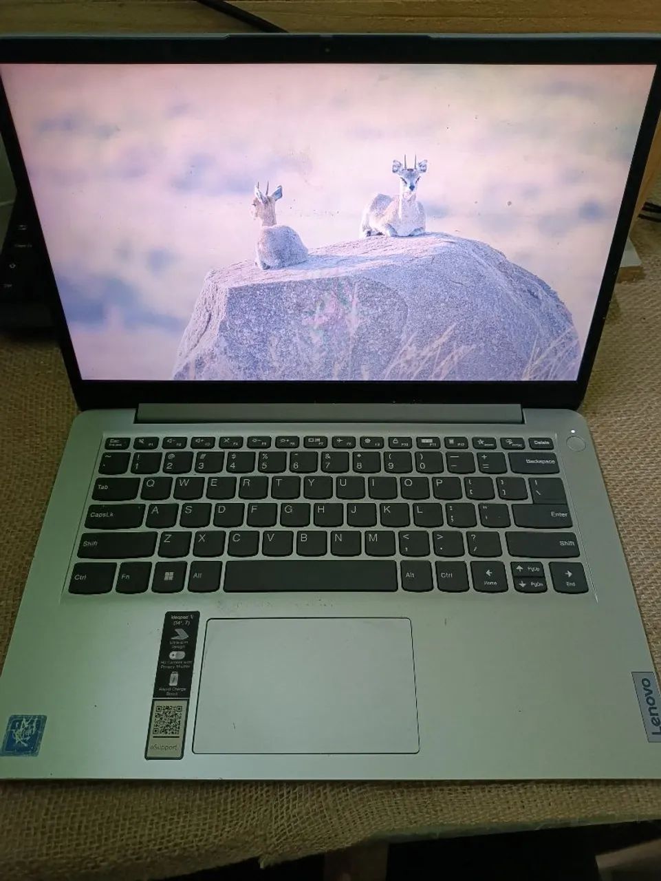 Notebook 14 polegadas Ideapad 1i 