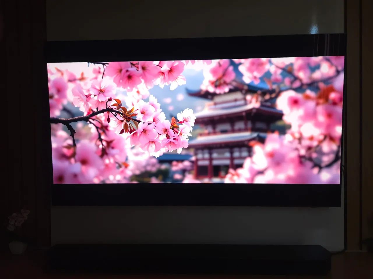 TV Samsung S90D OLED (QD-OLED) 144hz Nvidia G-Sync / AMD FreeSync - Foto 4