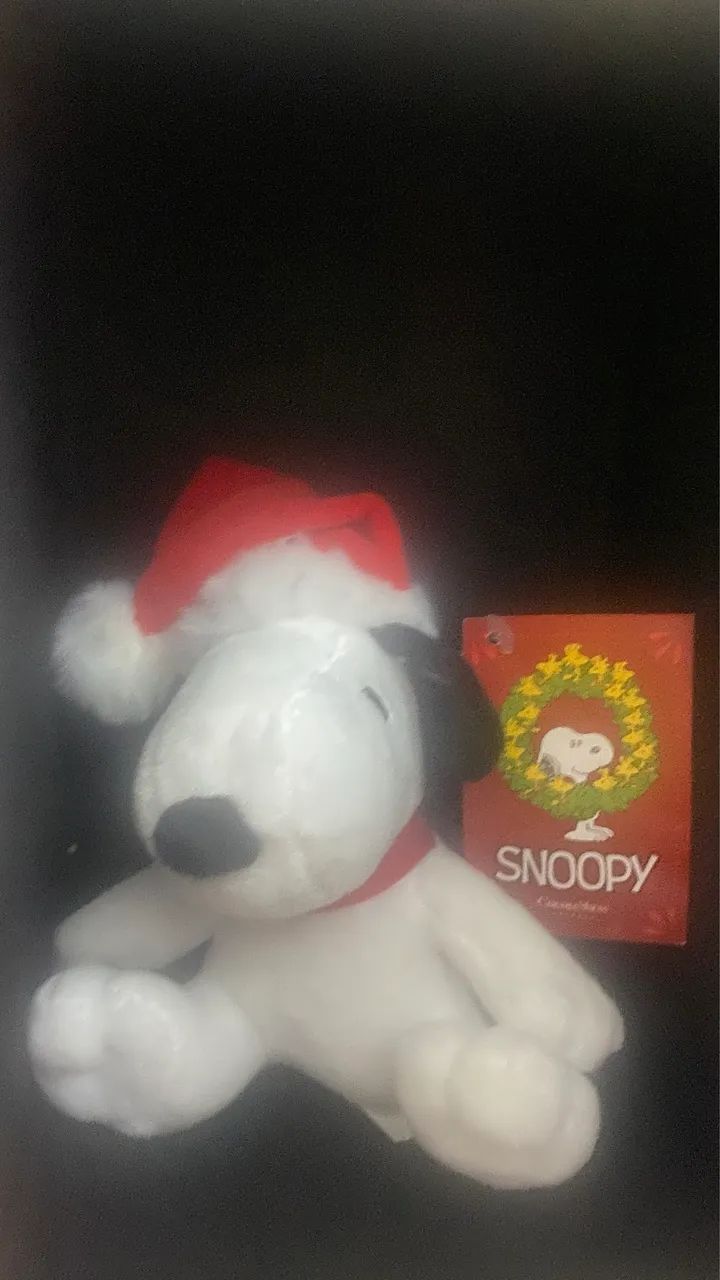 1 chaveiro Snoopy cacau show - Foto 2