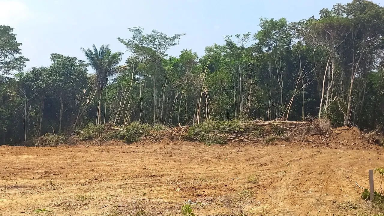 Sítio de excelência 50m X 100m - Foto 3
