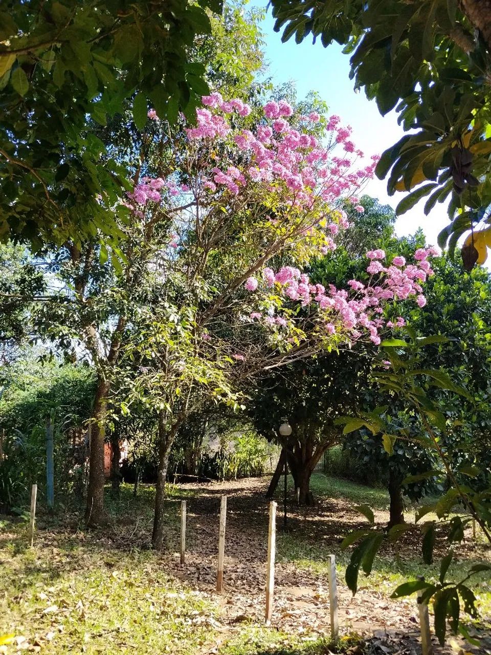Aluguel para festas e eventos  - Foto 4
