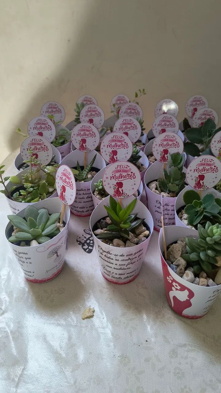 Lembrancinhas de cactos e suculentas  - Foto 3