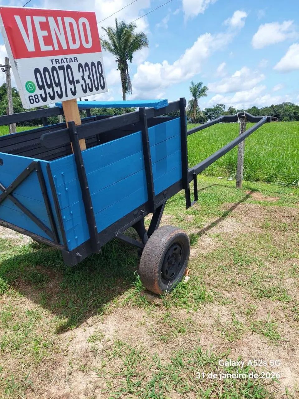 Carro de boi tipo carroça - madeira maciça - ótimo estado - Foto 2