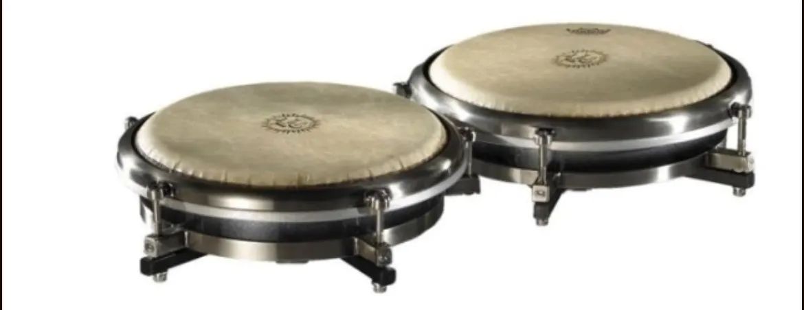 Congas Pearl
