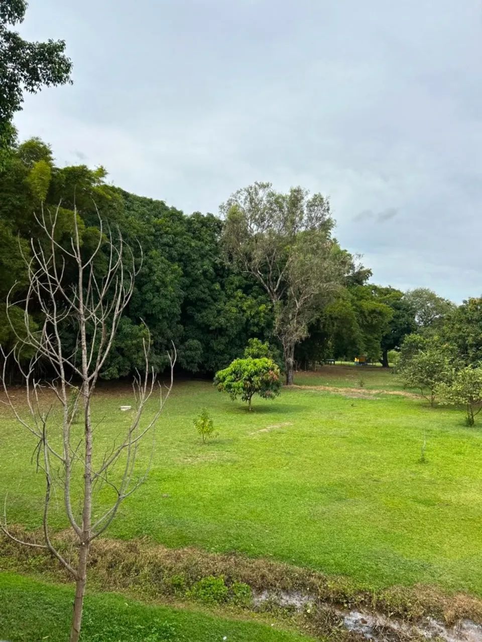 **OPORTUNIDADE NO PARK WAY | R$ 310.000** - Foto 4