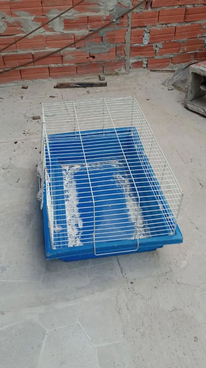 Gaiola para porquinho ou hamister  - Foto 2