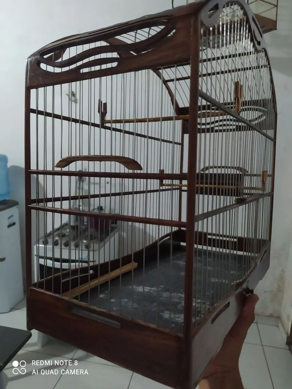 Gaiola bainhania  - Foto 2