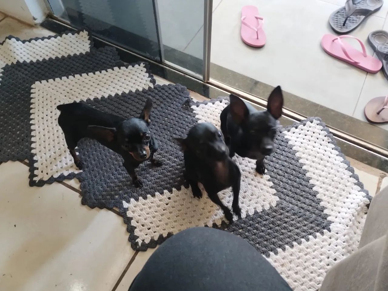 PINSCHER ZERO  PARA COBERTURA  - Foto 2