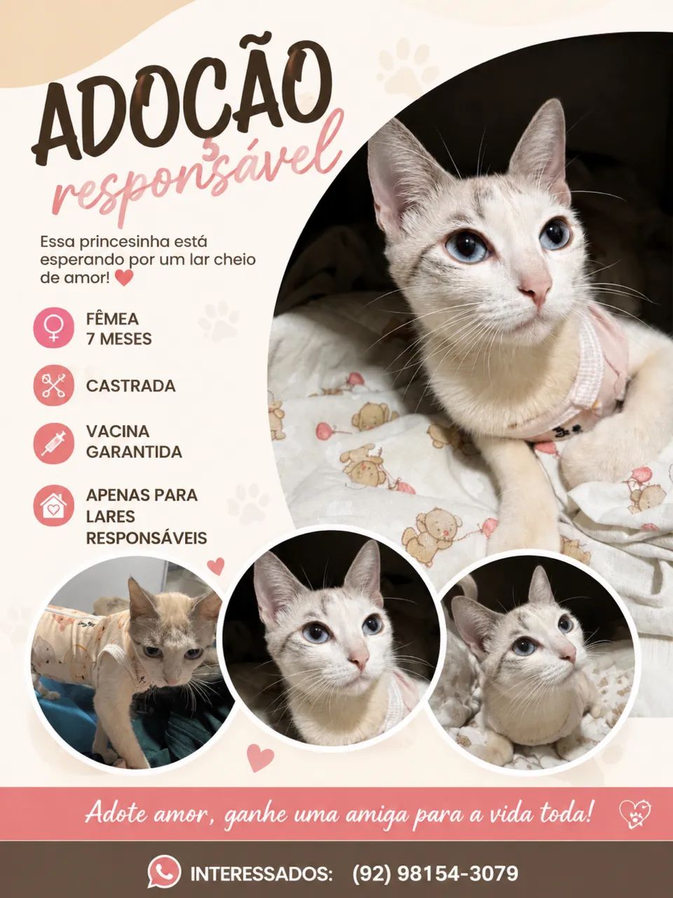 Adoaçao