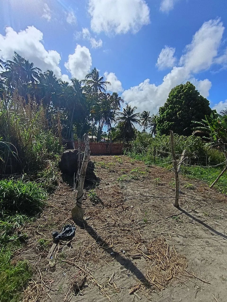 Terreno na Malhadas  - Foto 5