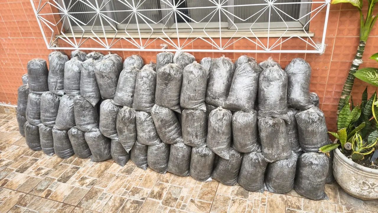 Terra preta 