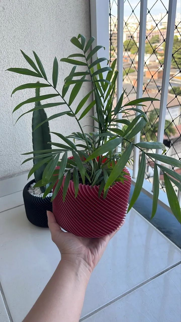 Vaso decorativo cachepot 