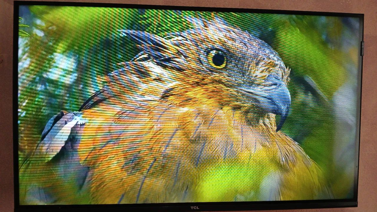 Vendo Smart TV TCL de 32 polegadas, modelo QLED (32S5K) com apenas 4 meses de uso. - Foto 3