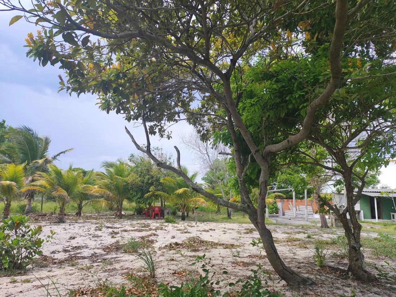 Vendo chácara em barra nova sul - Foto 2