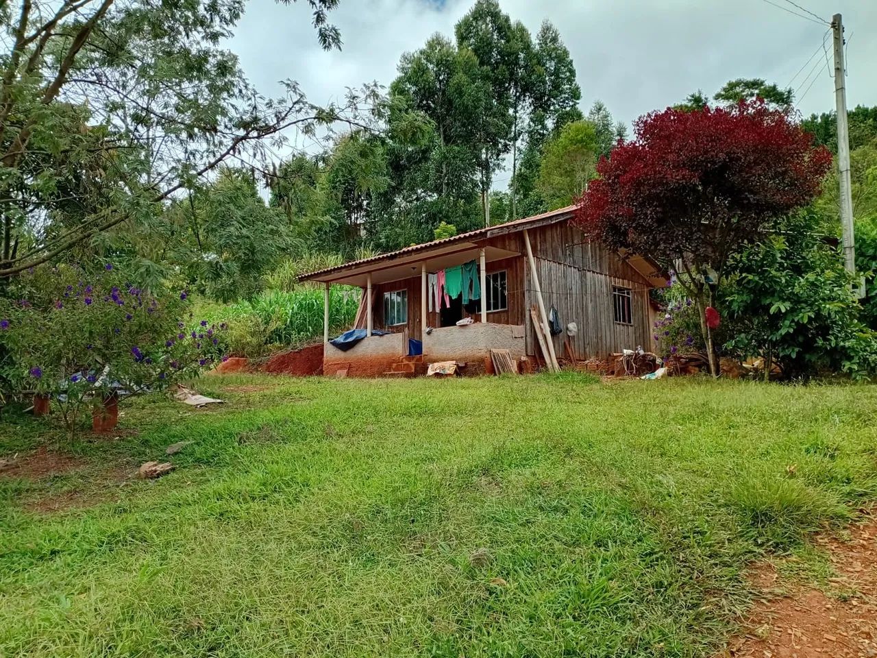 Foto - Almirante Tamandaré - Jardim Monte Santo