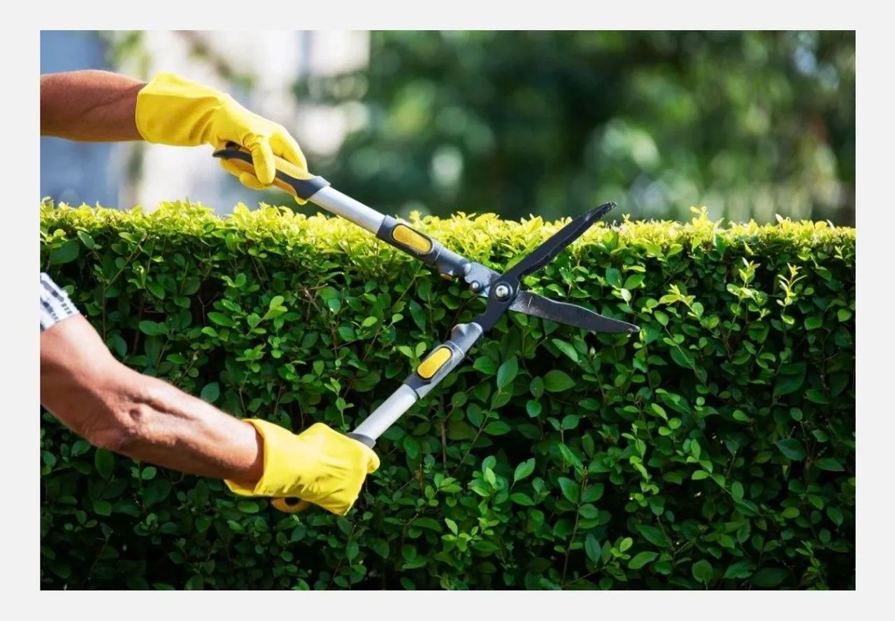 Jardinagem e poda de folhagens