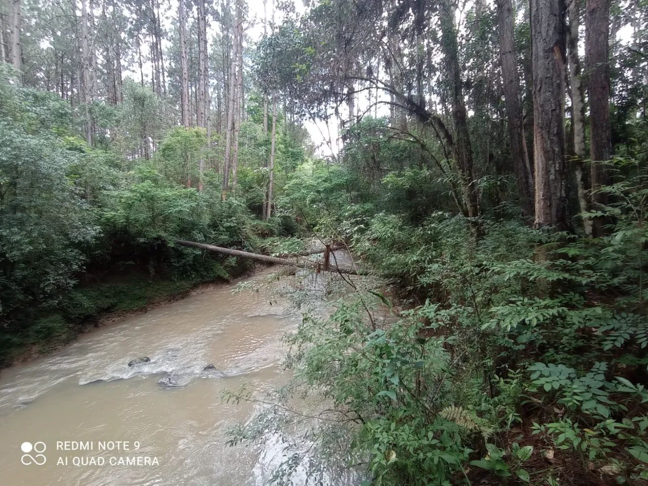 Imbituba - Venda - Foto 2