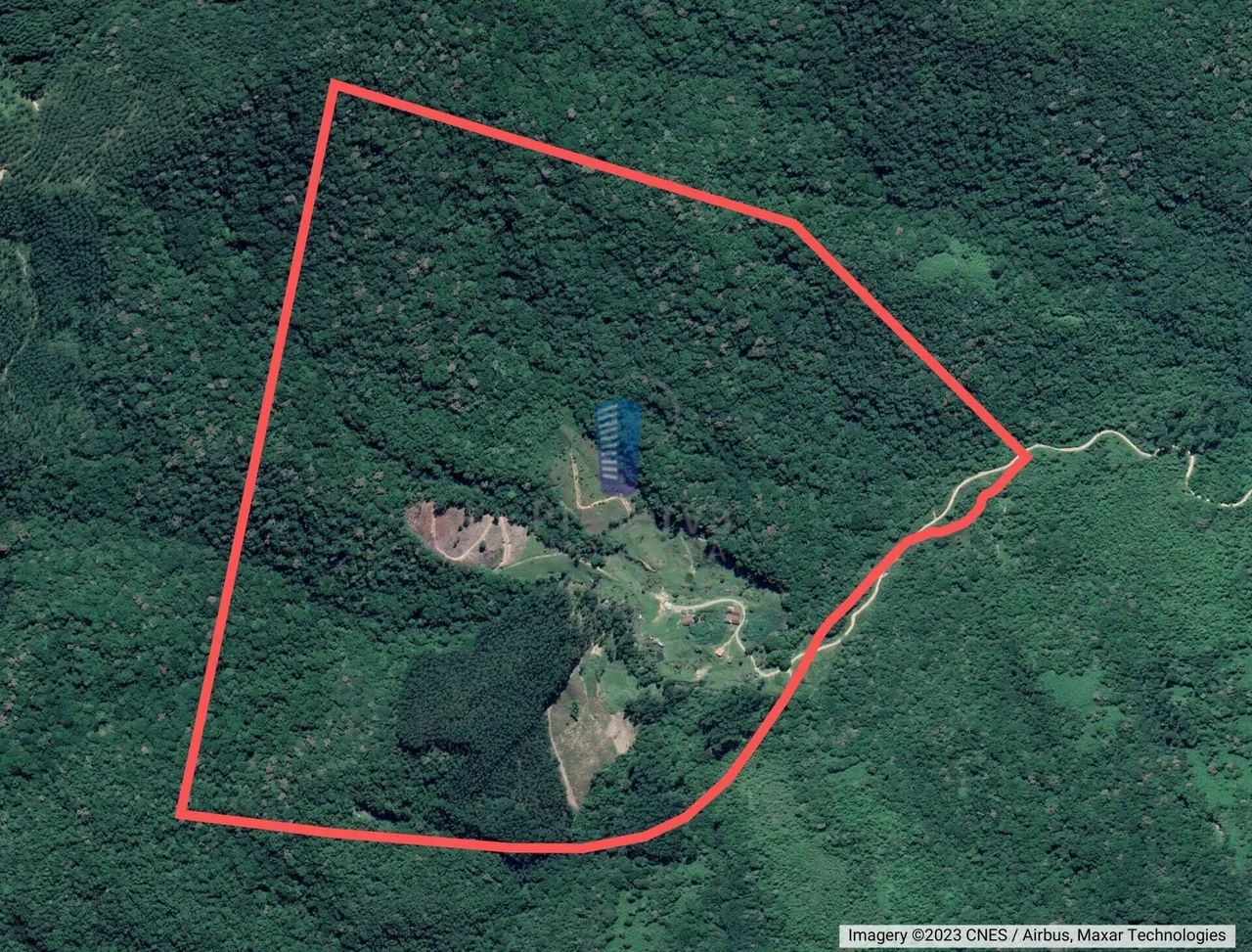 Sítio com 70 hectares em Major Gercino SC - Foto 4