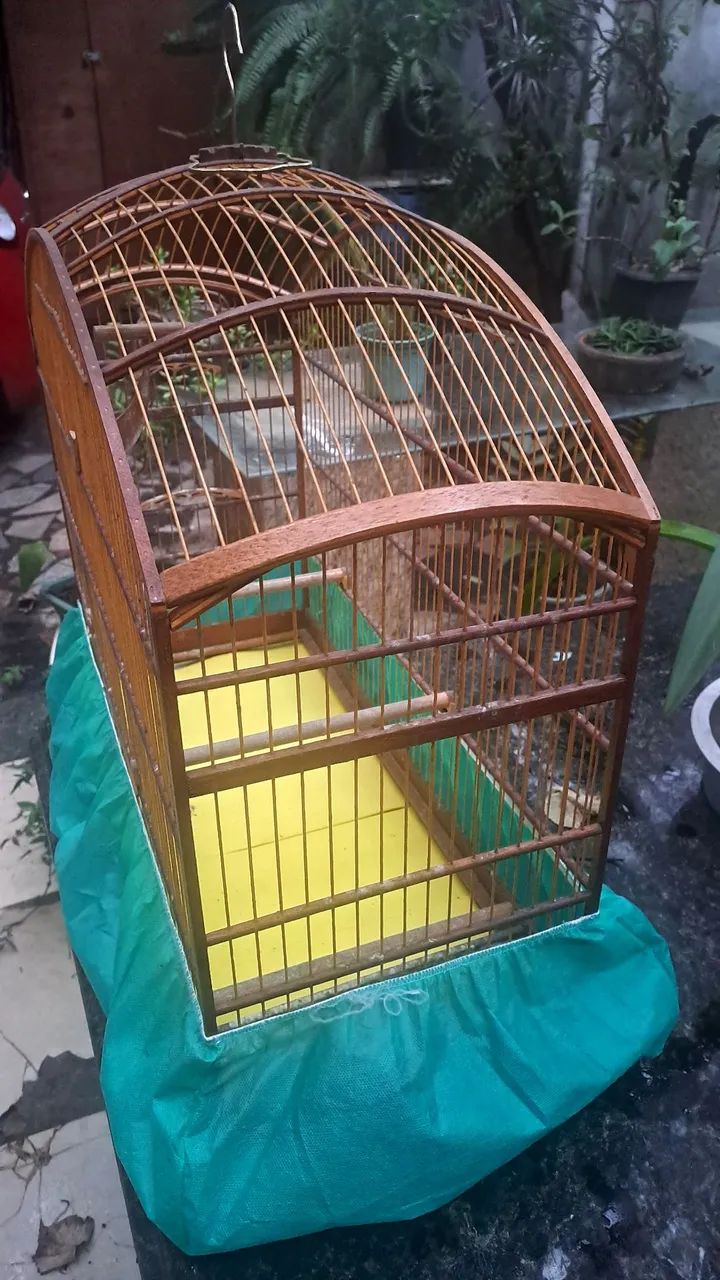 Gaiola Abaulada  - Foto 4