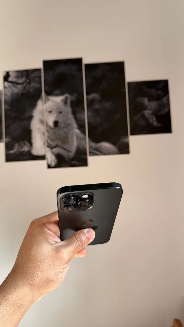 iPhone 16 Pro Max 256gb 91% - Foto 5