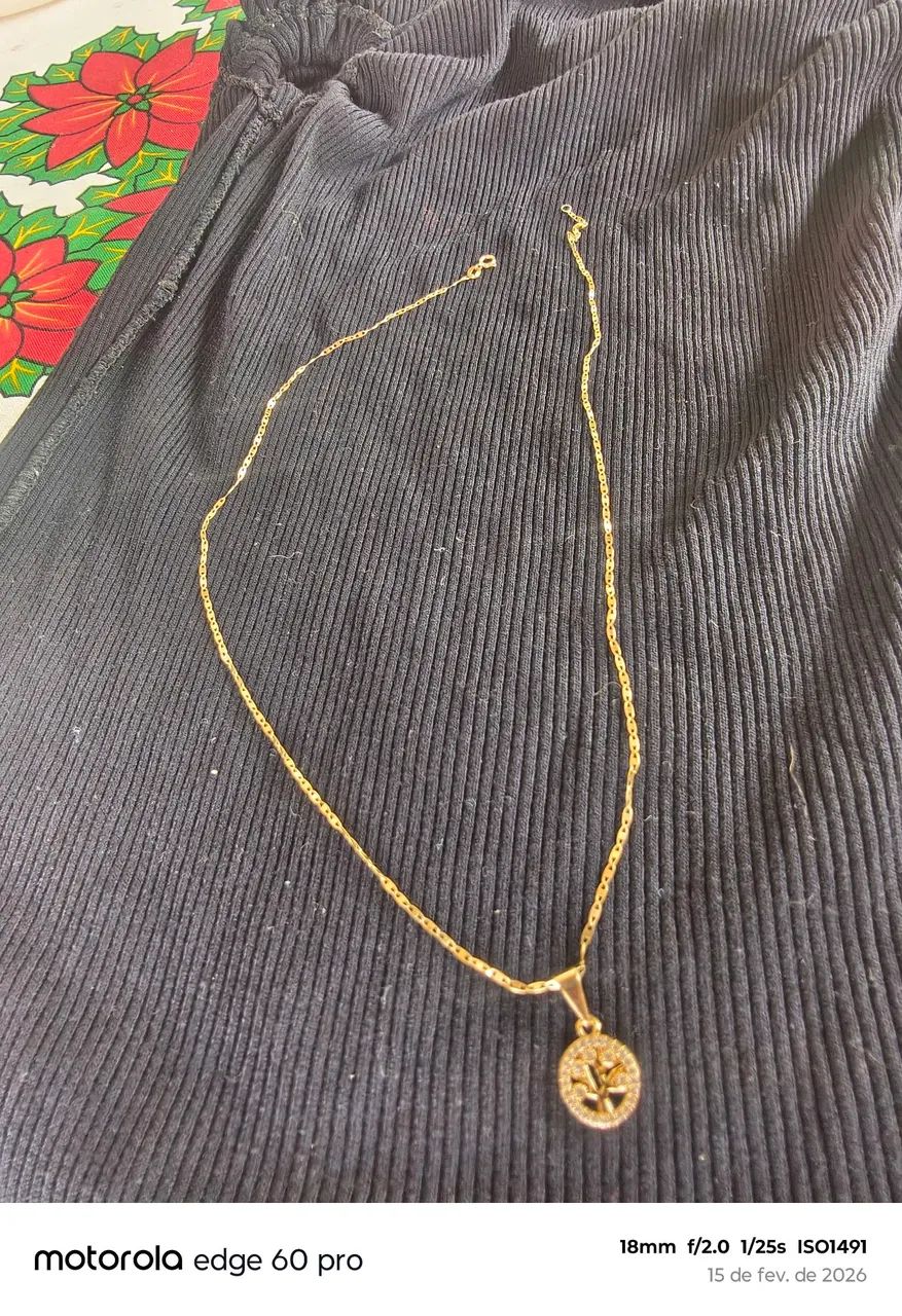 Cordão de ouro o pingente não é ouro 