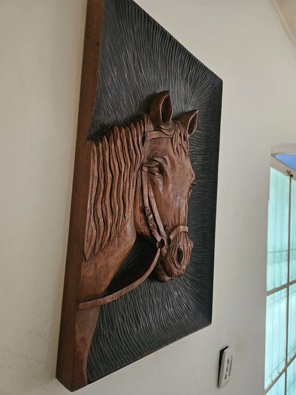 Cabeça de cavalo  - Foto 5