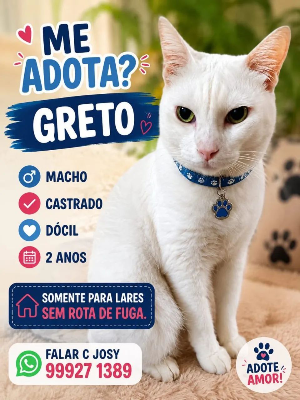 Adoção pra gato 