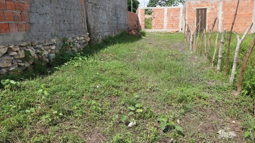 Vendo terreno 5x25 - Foto 2