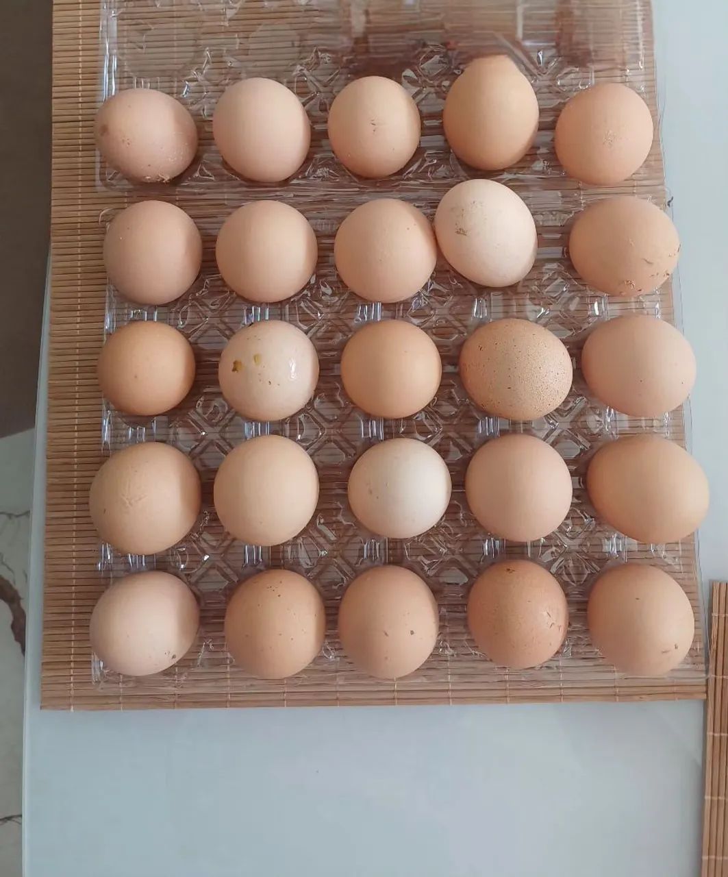 VENDO OVOS DE GALINHA SERTANEIJO BALÃO  - Foto 3